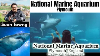 National Marine Aquarium - PLYMOUTH, ENGLAND (The largest Aquarium in the UK)