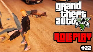 LA MASCOTA de HORACIO en GTA V Roleplay Perxitaa #22