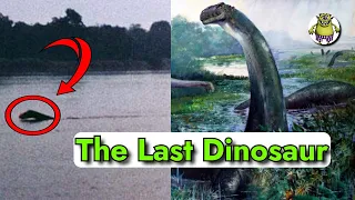 The Legend of the Mokele Mbembe: The Last Living Dinosaur?