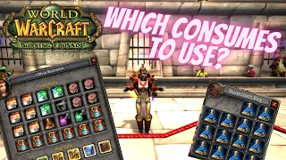 The Burning Crusade - Protection Paladin Dungeon Leveling Consumables Guide