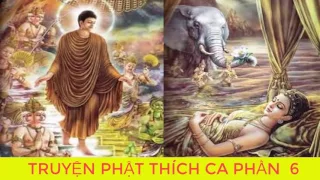 Bạn Có Duyên Với Đức Phật Khi Nghe Kể Chuyện Đêm Khuya Phật Thích Ca Mâu Ni Truyện Phật giáo  p6