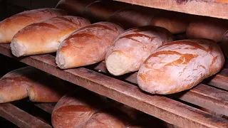 Хліб на дровах: як за добу спекти 5 тисяч хлібин знають у Загатті