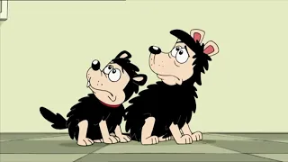 It's a Dog's Life | Funny Episodes | Dennis and Gnasher