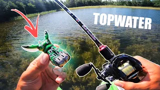 Trying CRAZY TOPWATER LURE for Pike 💥 (Fishing Heavy Cover)