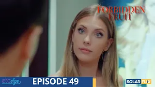 Forbidden Fruit Episode 49 | FULL EPISODE | TAGALOG DUB | Turkish Drama