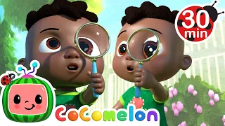 What Can Cody Find?! | CoComelon Kids Songs & Nursery Rhymes