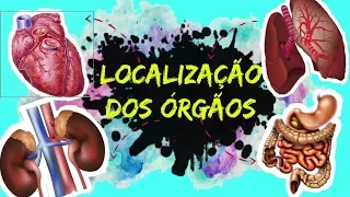 AULA 39: LOCALIZAÇÃO DOS ÓRGÃOS DO CORPO HUMANO