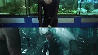 AQUAMAN LOW-COST TRAILER SIDE BY SIDE