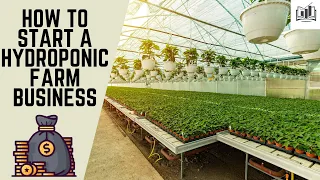 How to Start a Hydroponic Farm Business | Starting a Hydroponic Farm Business