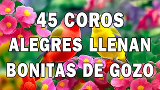 Coros Viejitos Pero Bonitos ✝️ Coros Pentecostales 🎧 100 Minutos De Coritos Pentecostales