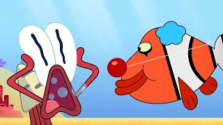 The Adventures of Bernie | The Clownfish (S01E05) Zig & Sharko - Cartoons for Kids