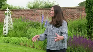 Gardeners' World 2024🍀 Compilations Episode 2