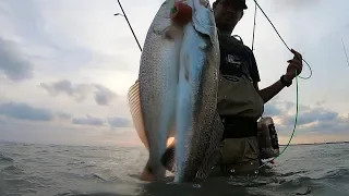 Still on the BIG trout! | Wade Fishing with Down South Lures