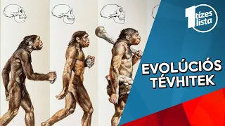 10 TÉVHIT AZ EVOLÚCIÓRÓL | Az elmélet, amit túl sokan értenek félre