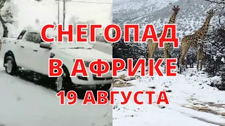 Невероятно! Снегопад в Африке сегодня засыпал Гаррисмите! Люди в шоке!