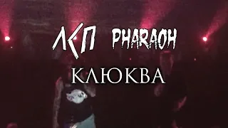 ЛСП & PHARAOH - Клюква (Минск, 04.05.18) | концерт Фараона