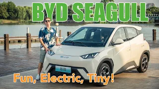 The BYD Seagull: Finally, A Fun To Drive Tiny EV!