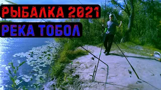 РЫБАЛКА 2021 НА РЕКЕ ТОБОЛ | РЫБАЛКА НА ДОНКУ | СЕНТЯБРЬ