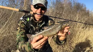 Рыбалка на дикую форель. Trout fishing. Trip.