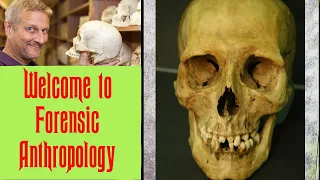 Introduction to Forensic Anthropology