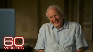 60 Seconds with Sir David Attenborough on literature, optimism and death