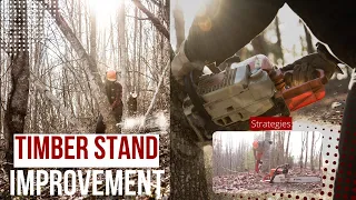 Timber Stand Improvement (TSI) For ALL Wildlife