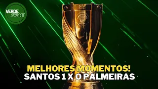 MELHORES MOMENTOS, SANTOS 1 X 0 PALMEIRAS!