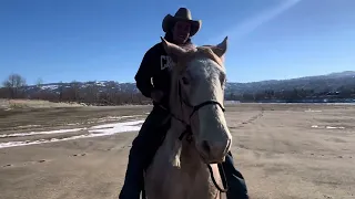 Ranger is old enough for the beach