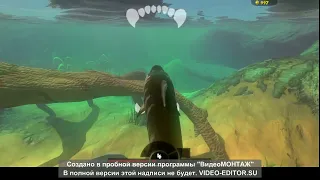 как получить сома в игре fish feed and crow