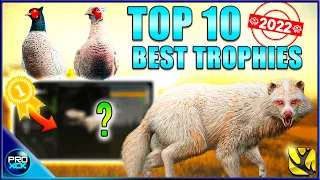My Top 10 MOST INSANE KILLS of 2022! - theHunter Call of the Wild
