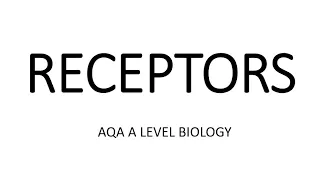 RECEPTORS - AQA A LEVEL BIOLOGY + EXAM QUESTIONS RUN THROUGH