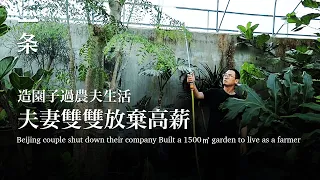 [EngSub]Beijing Couple Gave up High Salary, Built a 1500㎡ Garden for Self-Cultivation 夫妻放棄高薪，造園子修養身心