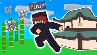 Rise Of The Immortal Ninja In Minecraft