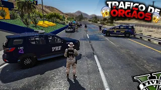 MEGA BLITZ DA PRF ''TRÁFICO DE ORGÃOS'' GTA RP