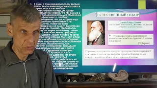 Теория эволюции - узаконенный обман. Филогенез, которого не было! Александр Белов 01.04.2024 г.