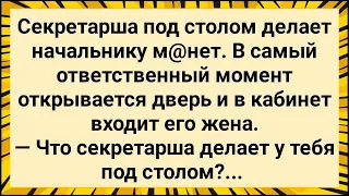 Секретарша Залезла к Начальнику Под Стол! Сборник Свежих Анекдотов! Юмор!