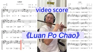 《Luàn Pò Chāo -The Untamed OST》D key Dizi Flute Playing With Video Score (Staff+Number Notation)乱魄抄