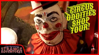 FRIGHTENINGLY FUN ODDITIES SHOP TOUR: Circus Oddities In Old Ghosts Of Hollywood