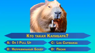 Капибара! Тест на Капибару! Какая ты Капибара?