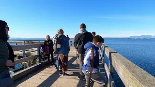 🇨🇦【4K UHD】Explore Crescent Beach. 🌈👟🌼BC Canada Feb 2022