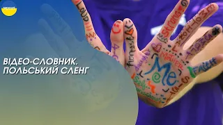 Відео-словник. Польський сленг