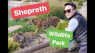 Shepreth Wildlife Park Tour