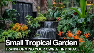 Transforming a Tiny Space: Designing Your Own Small Tropical Garden