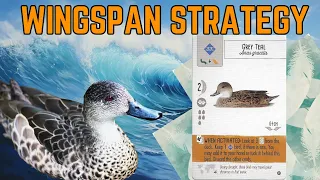 Is Grey Teal One of the Best Cards in the Wingspan Oceania Expansion?