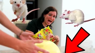 April Fools Prank Scaring my Mom with Real RAT!!!