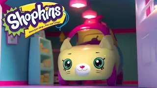 SHOPKINS | Cutie Cars Shopkins | Dance and Drive | Videos For Kids