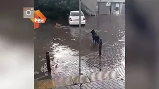 Жители Сочи публикуют видео потопа в городе  РЕН ТВ 4