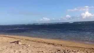 Puerto Rico, Playa de Ponce HD