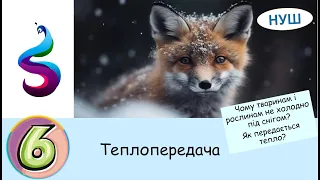 Теплопередача