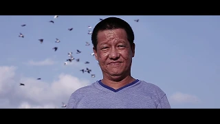 Secrets of John Liao | Pigeon Industry in the Philippines | Secret of Pigeon